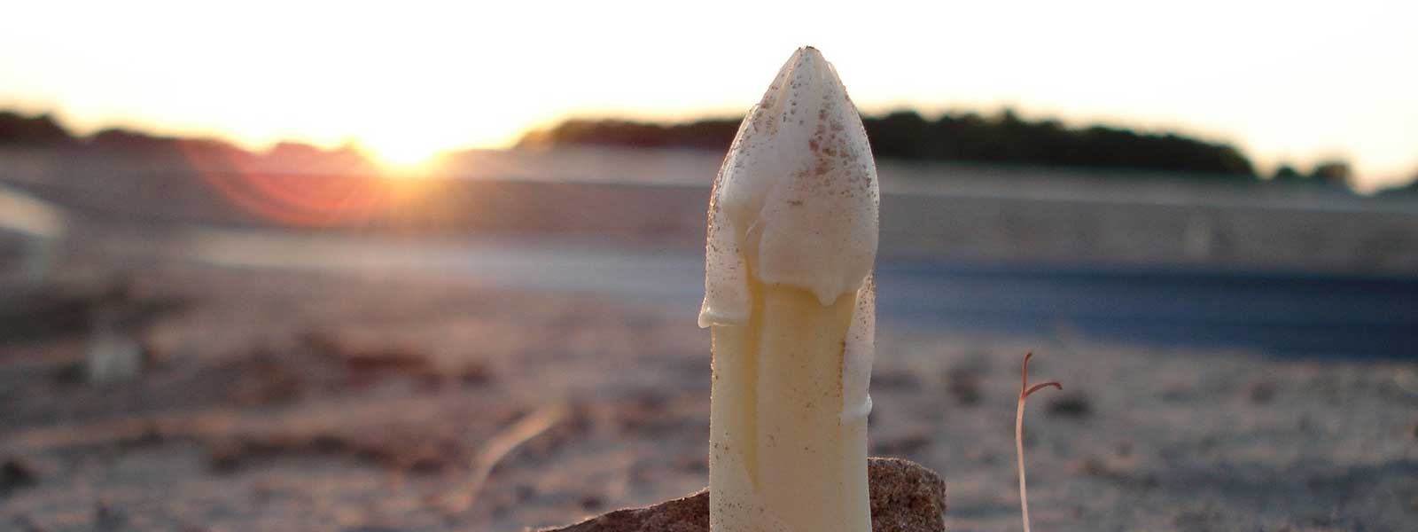 Frischer Spargel